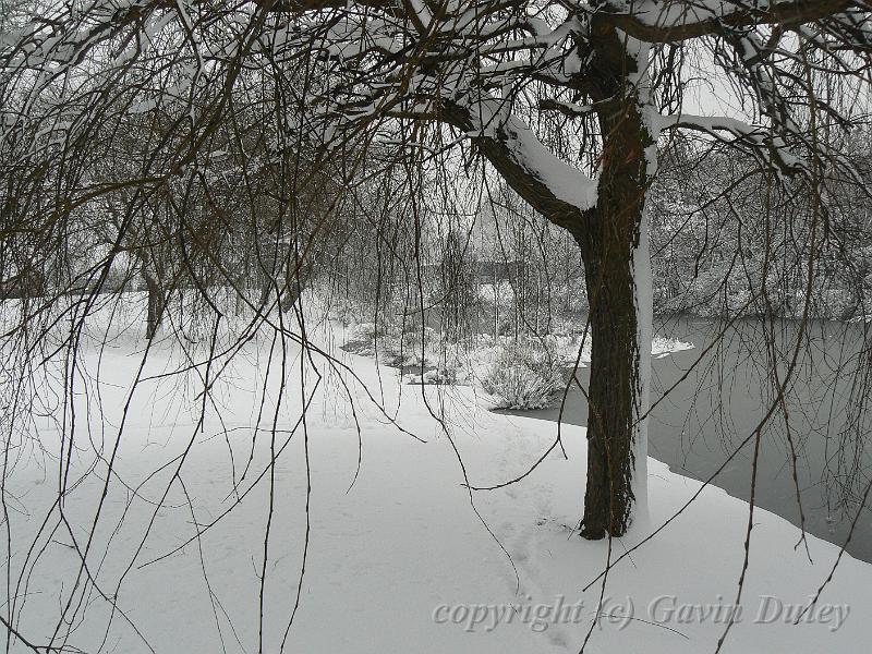 Snow, Blackheath P1070116.JPG